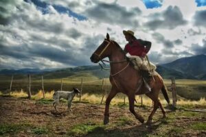 Pioneros Fly Fishing