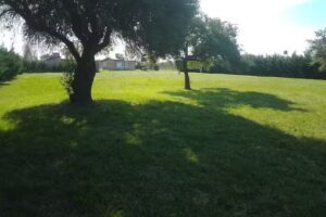 Pirakas Gualeguaychu