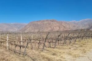 Pirka Viajes y Turismo