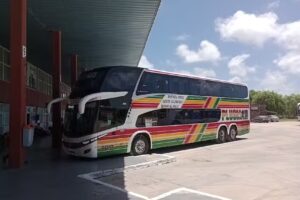 Plusmar Solano Miele