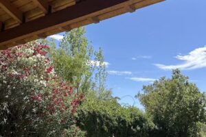 Postal de la cordillera