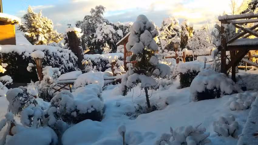 Puente Austral Cabañas / Apart-Bungalows