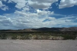 Puerto Madryn Turismo