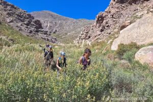 PukeTours Turismo Excursiones y Viajes