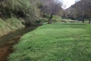 punto cerro cabañas