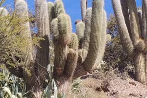 Punto Viajes & Andestour