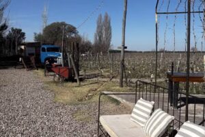 RAC TURISMO Y TRASLADOS Legajo 19613