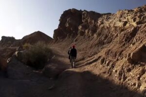 Raiz. Trekking & Expediciones