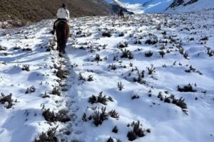 Rancho Don Daniel (Las lajas) Cabalgatas Mendoza