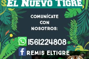 Remis el tigre