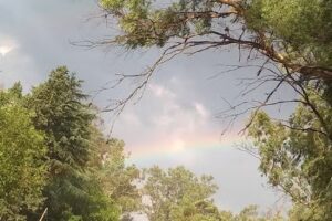 Remis full Tour San Pablo ️