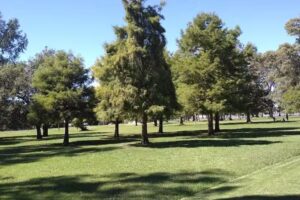 Remiseria «Jorge fasce» viajes particulares