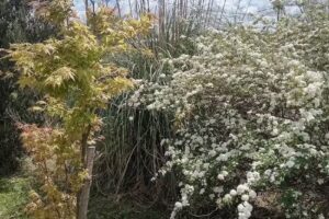 Rincón Joven I Cabañas y casas con pileta alojamientos/alquileres temporales San Miguel del Monte