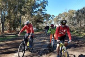 RURAL BIKE ZARATE MTB