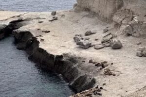 Rustica Patagonia Shore Excursions – Agencia de Viajes