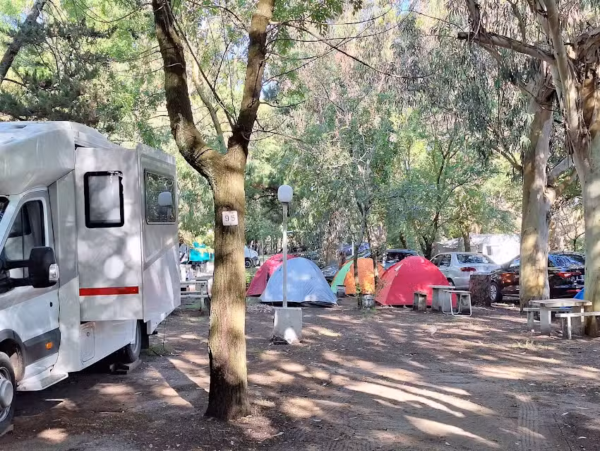 Saint Tropez Pinamar