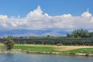 SAK Wine & Travel – Adventure and Wine tours in Mendoza