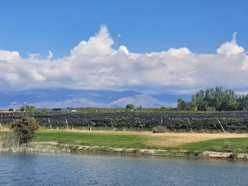 SAK Wine & Travel – Adventure and Wine tours in Mendoza