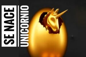 Salvador Tourtech by J&D Company AR