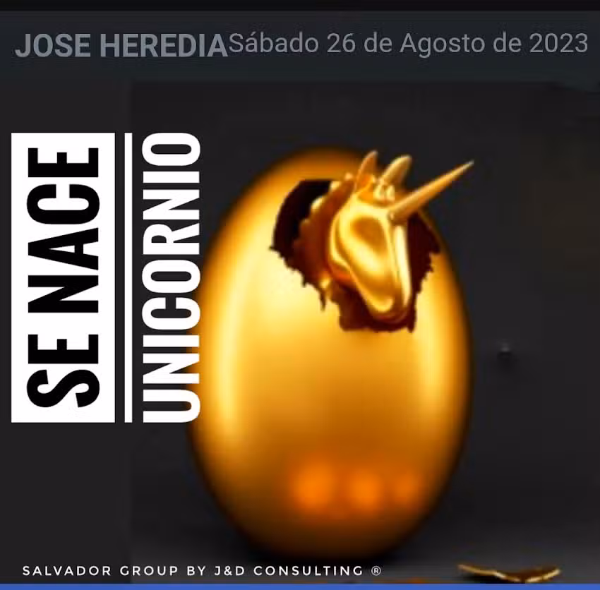 Salvador Tourtech by J&D Company AR