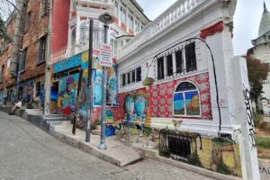 Say Hueque – Tours in Argentina