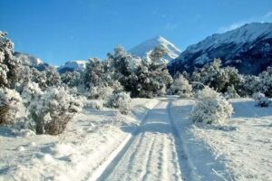 Secretaría de Turismo