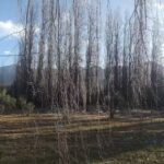 Secretaria De Turismo