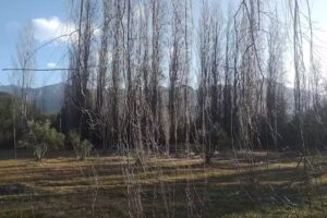 Secretaria De Turismo