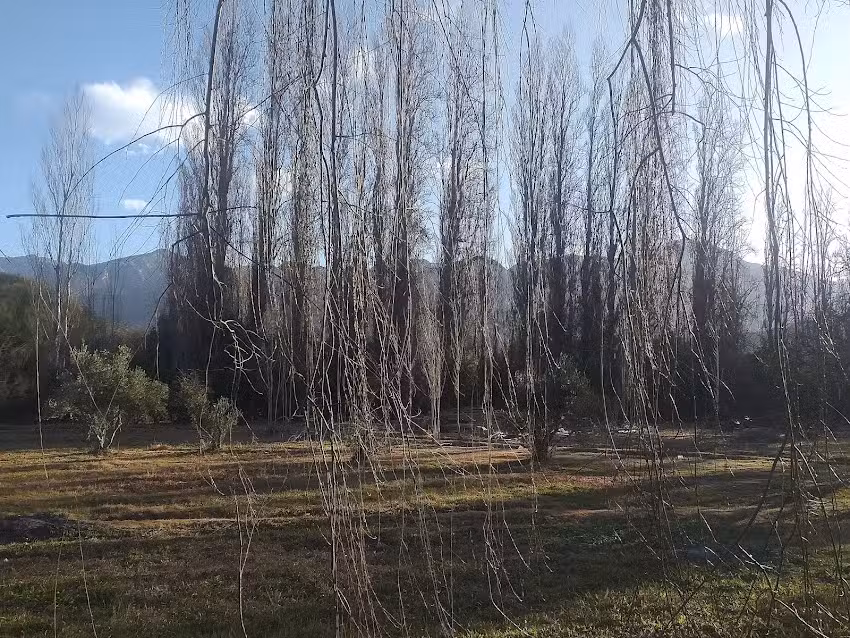 Secretaria De Turismo