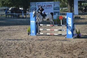 Setur Servicios Turisticos s r l