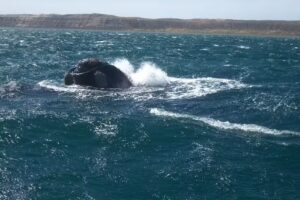 Sinergia Tours Empresa de Viajes y Turismo