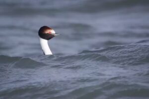 Southern Patagonia tours