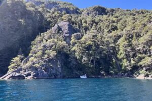 SouthernLoops Fly Fishing