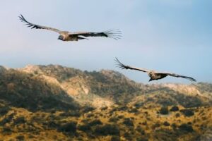 Soy Turista en La Rioja
