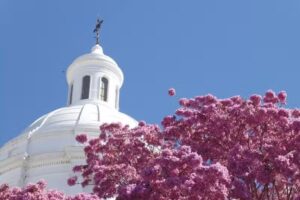 Sturla Viajes – San Nicolás de los Arroyos