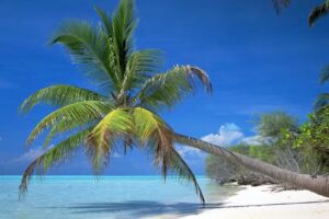 Sueños viajes & turismo