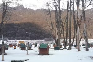 Tagle Servicios Turísticos Ushuaia