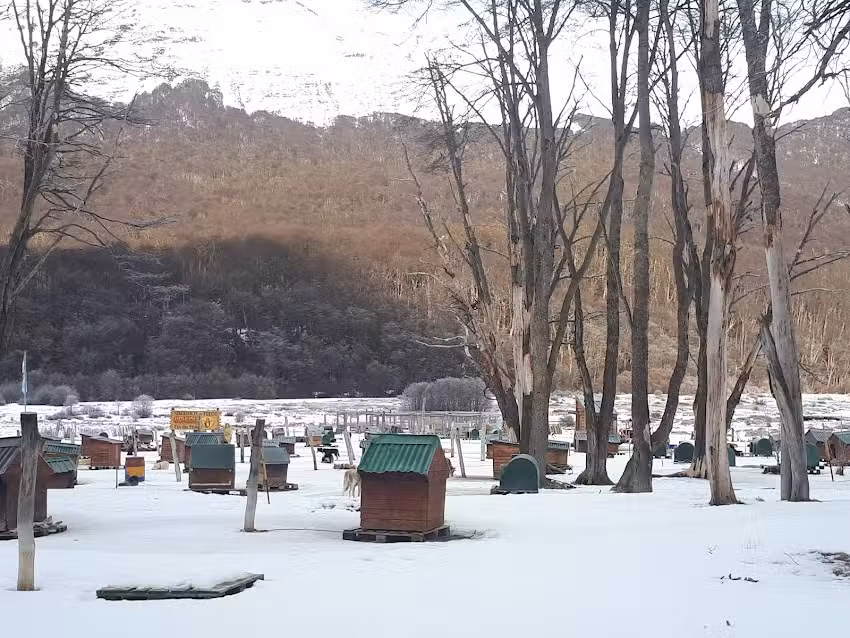 Tagle Servicios Turísticos Ushuaia