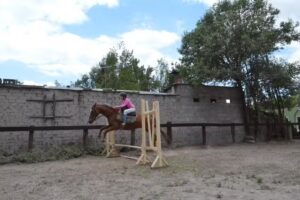 Taller ecuestre Arre Caballito