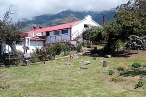 Taxi y Excurciones Reyes