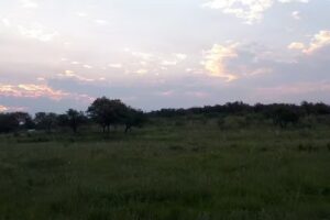 Terminal de Ómnibus