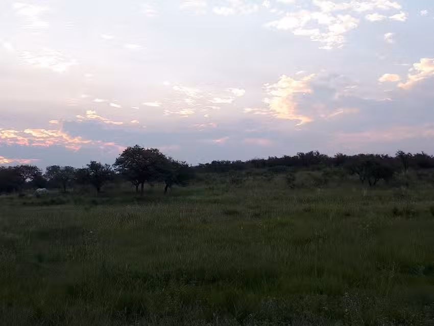 Terminal de Ómnibus