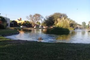 Terminal De Ómnibus