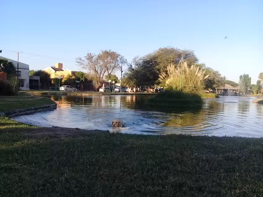 Terminal De Ómnibus