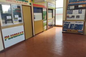 Terminal de Ómnibus de Carlos Tejedor