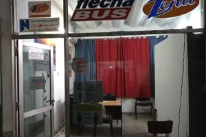 Terminal de Omnibus Flecha bus tostado