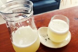 Terminal De Omnibus San José