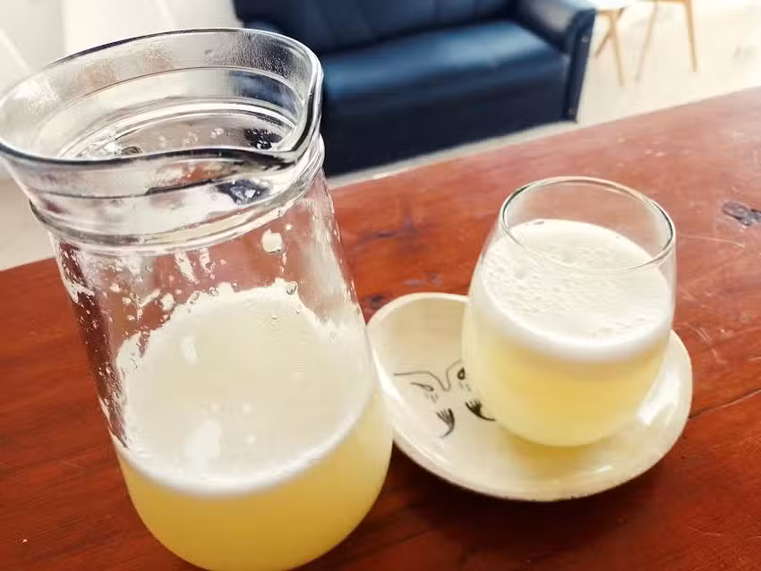 Terminal De Omnibus San José