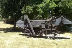 Terminal Omnibus de Verónica