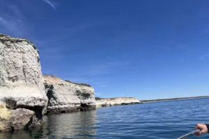 Todo Horizonte Avistaje de Delfines y Turismo Náutico